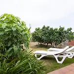 Home2book Serene Retreat Isabel, Jacuzzi & Garden Semesterbostad Icod el Alto